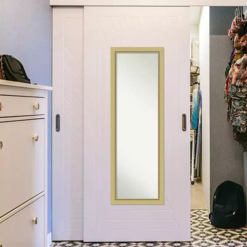 51.5"x17.5" Non-Beveled Full-Length Door Mirror Gold Narrow Frame