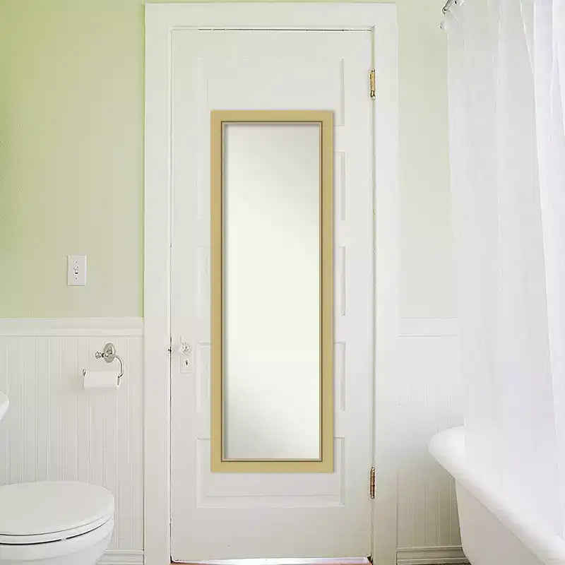 51.5"x17.5" Non-Beveled Full-Length Door Mirror Gold Narrow Frame