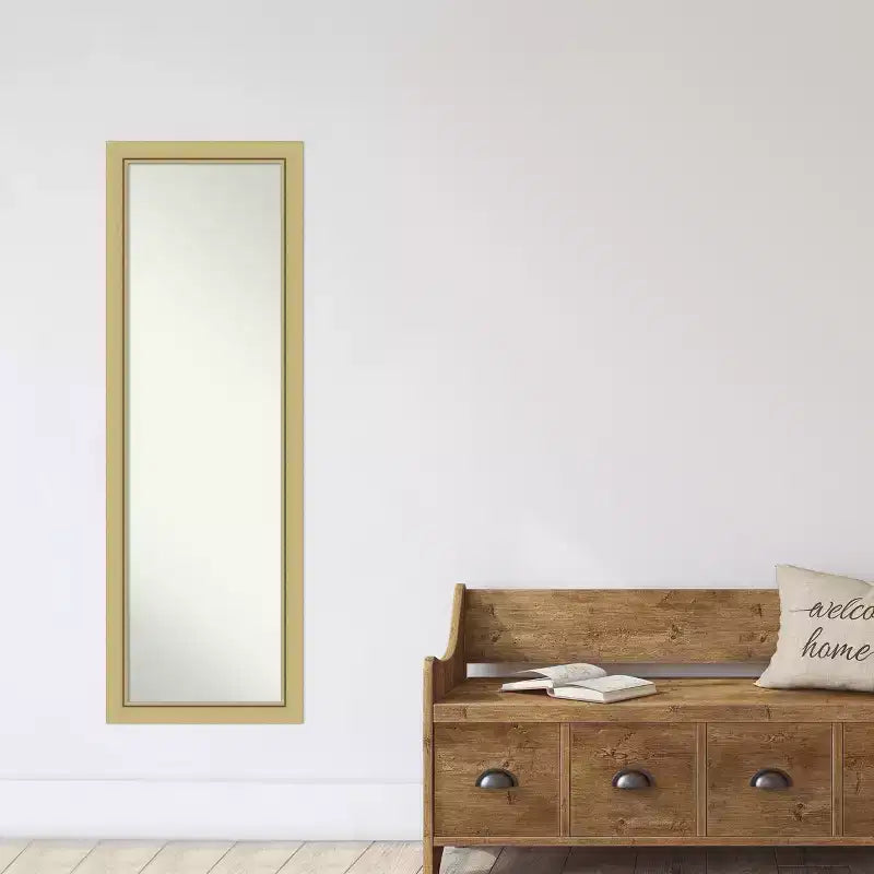 51.5"x17.5" Non-Beveled Full-Length Door Mirror Gold Narrow Frame